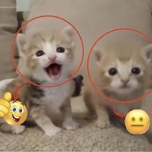 Meet your Posher, Aiyana